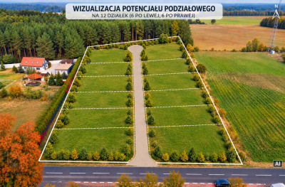 178 ha  potencjał na 1214 działek i zysk - Chełm Żarski  -
Lubuskie Zdjęcie nr 3