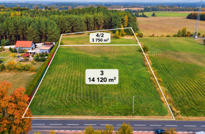 178 ha  potencjał na 1214 działek i zysk - Chełm Żarski  -
Lubuskie Zdjęcie nr 4