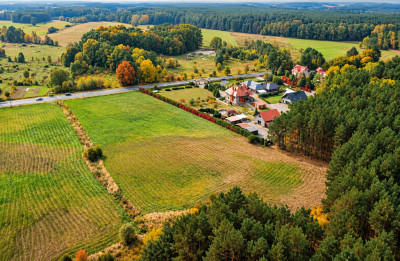 178 ha  potencjał na 1214 działek i zysk - Chełm Żarski  -
Lubuskie Zdjęcie nr 5