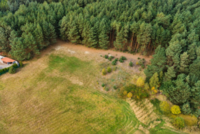 178 ha  potencjał na 1214 działek i zysk - Chełm Żarski  -
Lubuskie Zdjęcie nr 7