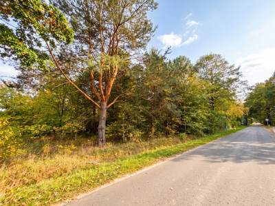 Działka budowlana 3000 m  Brogi k Ldzania  WZ  Dolina Grabi - Brogi  -
Łódzkie Zdjęcie nr 2