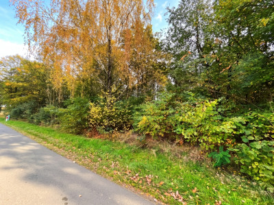 Działka budowlana 3000 m  Brogi k Ldzania  WZ  Dolina Grabi - Brogi  -
Łódzkie Zdjęcie nr 6
