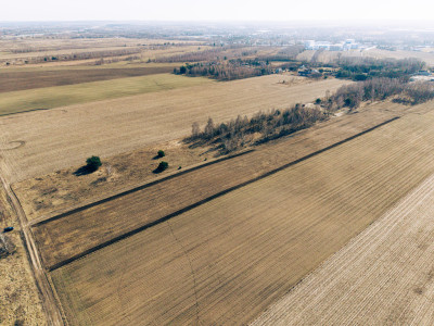 Tymianka - działki 12031614 m MPZP - Tymianka  -
Łódzkie Zdjęcie nr 7