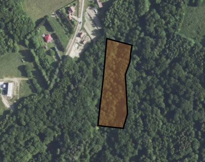 LAS Z POTENCJAŁEM  14028 HA W NIEPLI POD JASŁEM - Niepla  -
Podkarpackie Zdjęcie nr 8