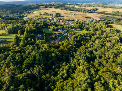 Działka Leśna z potencjałem NIEPLAJASŁO - Niepla  -
Podkarpackie Zdjęcie nr 3