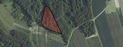 Działka Leśna z potencjałem NIEPLAJASŁO - Niepla  -
Podkarpackie Zdjęcie nr 8