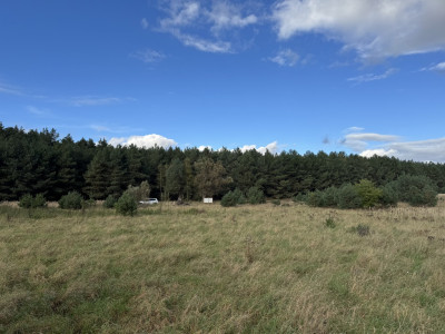 Dwie działki pod zabudowę letniskowo-usługową pod lasem  Silna - Silna  -
Lubuskie Zdjęcie nr 4
