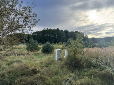 Dwie działki pod zabudowę letniskowo-usługową pod lasem  Silna - Silna  -
Lubuskie Zdjęcie nr 6