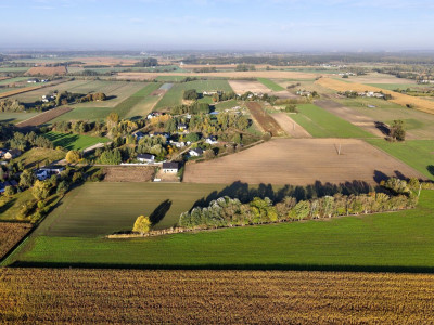Działka budowlana 935 m z WZ Grzebienisko - gaz i kanalizacja - Grzebienisko  -
Wielkopolskie Zdjęcie nr 3