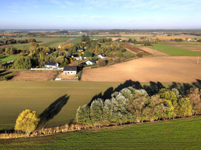 Działka budowlana 935 m z WZ Grzebienisko - gaz i kanalizacja - Grzebienisko  -
Wielkopolskie Zdjęcie nr 9