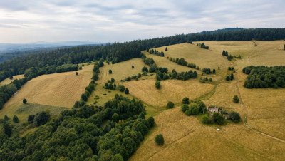 1246 ha w górach Twoja własna samotnia - Gniewoszów  -
Dolnośląskie Zdjęcie nr 5