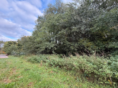 Justynów MPZP działka budowlana 1813m2 media w drodze - Justynów  -
Łódzkie Zdjęcie nr 5