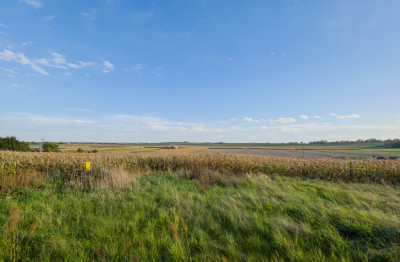Działka 39 a z bezterminowym WZ - Grodzisko Nowe  -
Podkarpackie Zdjęcie nr 2
