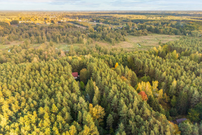 Malownicza działka otoczona lasem - Prace Duże  -
Mazowieckie Zdjęcie nr 8