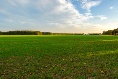 Sławno - teren pod osiedle - Sławno  -
Zachodniopomorskie Zdjęcie nr 11