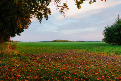 Sławno - teren pod osiedle - Sławno  -
Zachodniopomorskie Zdjęcie nr 12
