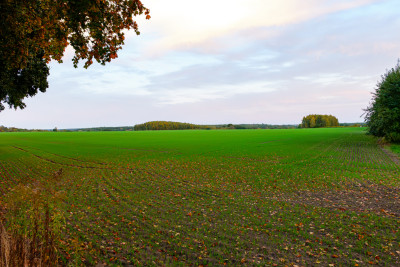 Sławno - teren pod osiedle - Sławno  -
Zachodniopomorskie Zdjęcie nr 3