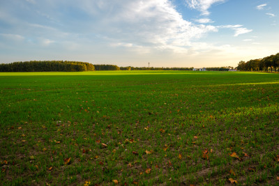 Sławno - teren pod osiedle - Sławno  -
Zachodniopomorskie Zdjęcie nr 4
