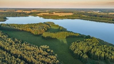 Twój kawałek lasu nad jeziorem Wieleńskim MPZP - Osłonin  - Wielkopolskie