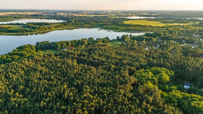 Twój kawałek lasu nad jeziorem Wieleńskim MPZP - Osłonin  -
Wielkopolskie Zdjęcie nr 4
