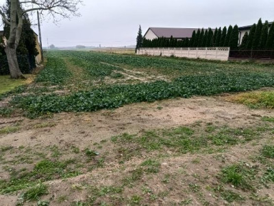 BRÓJCE  165 HA  DZIAŁKA ROLNO-BUDOWLANA  MPZP  26 ZŁM - Brójce  - Łódzkie