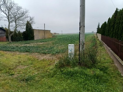 BRÓJCE  165 HA  DZIAŁKA ROLNO-BUDOWLANA  MPZP  26 ZŁM - Brójce  -
Łódzkie Zdjęcie nr 3
