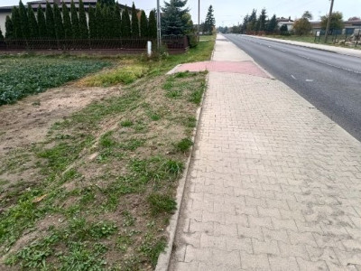 BRÓJCE  165 HA  DZIAŁKA ROLNO-BUDOWLANA  MPZP  26 ZŁM - Brójce  -
Łódzkie Zdjęcie nr 4