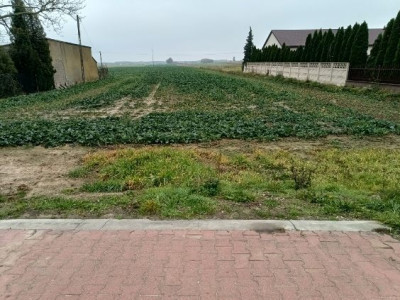 BRÓJCE  165 HA  DZIAŁKA ROLNO-BUDOWLANA  MPZP  26 ZŁM - Brójce  -
Łódzkie Zdjęcie nr 5