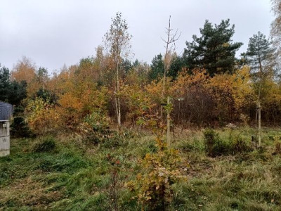 Działka budowlana 1062m2 Borowo I gm Koluszki woj łódzkie - Borowa  -
Łódzkie Zdjęcie nr 3