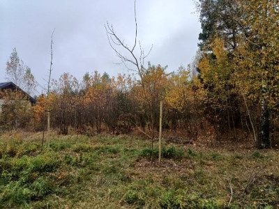 Działka budowlana 1062m2 Borowo I gm Koluszki woj łódzkie - Borowa  -
Łódzkie Zdjęcie nr 4