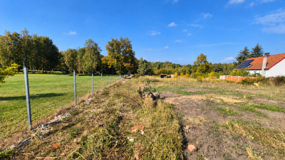 Działka z WZ w Buczynach   66 000 zł - Buczyny  -
Lubuskie Zdjęcie nr 4