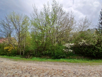 Działka Budowlna 877m2 ul Wojska Polskiego Wietrznia - Wietrznia  -
świętokrzyskie Zdjęcie nr 8