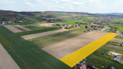 Duża działka budowlana Starwczynek 20 km od Kielc - Strawczynek  -
świętokrzyskie Zdjęcie nr 5
