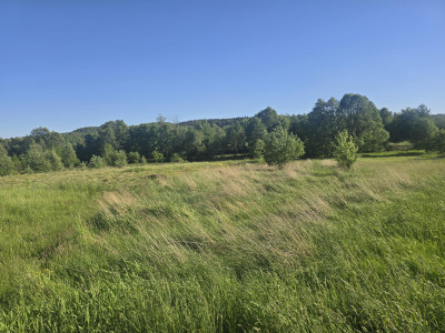 Działka 1500 m2 Kajetanów gmina Zagnańsk - Kajetanów  -
świętokrzyskie Zdjęcie nr 12