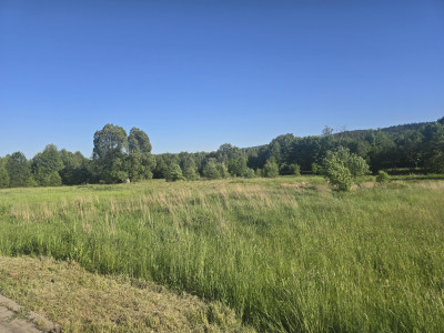 Działka 1500 m2 Kajetanów gmina Zagnańsk - Kajetanów  -
świętokrzyskie Zdjęcie nr 13