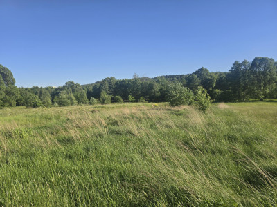 Działka 1500 m2 Kajetanów gmina Zagnańsk - Kajetanów  - świętokrzyskie