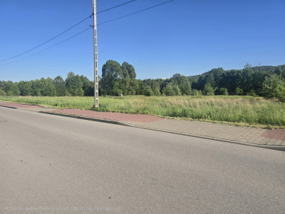 Działka 1500 m2 Kajetanów gmina Zagnańsk - Kajetanów  -
świętokrzyskie Zdjęcie nr 2