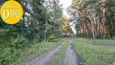 Działka 7206m2  z warunkami zabudowy Zielona Góra - Jarogniewice  -
Lubuskie Zdjęcie nr 11