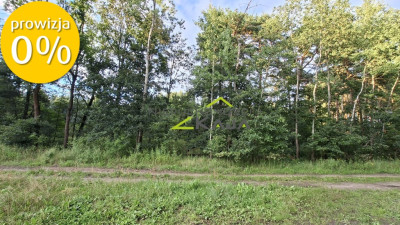 Działka 7206m2  z warunkami zabudowy Zielona Góra - Jarogniewice  -
Lubuskie Zdjęcie nr 12