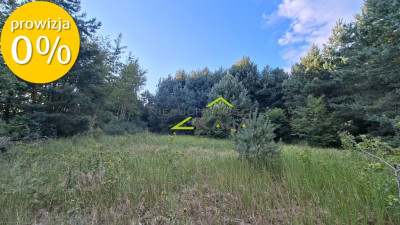 Działka 7206m2  z warunkami zabudowy Zielona Góra - Jarogniewice  -
Lubuskie Zdjęcie nr 3