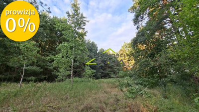 Działka 7206m2  z warunkami zabudowy Zielona Góra - Jarogniewice  -
Lubuskie Zdjęcie nr 4