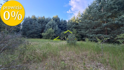 Działka 7206m2  z warunkami zabudowy Zielona Góra - Jarogniewice  -
Lubuskie Zdjęcie nr 5