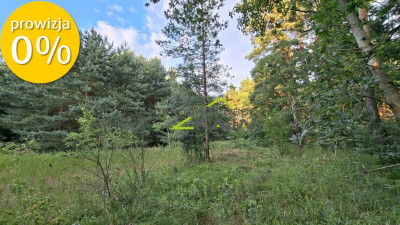 Działka 7206m2  z warunkami zabudowy Zielona Góra - Jarogniewice  -
Lubuskie Zdjęcie nr 6