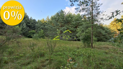 Działka 7206m2  z warunkami zabudowy Zielona Góra - Jarogniewice  -
Lubuskie Zdjęcie nr 7