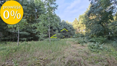 Działka 7206m2  z warunkami zabudowy Zielona Góra - Jarogniewice  -
Lubuskie Zdjęcie nr 8