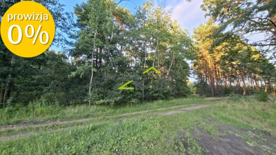 Działka 7206m2  z warunkami zabudowy Zielona Góra - Jarogniewice  -
Lubuskie Zdjęcie nr 9