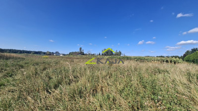 Działka w Zatoniu - Zatonie  -
Lubuskie Zdjęcie nr 11