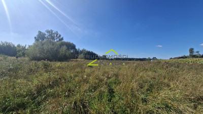 Działka w Zatoniu - Zatonie  -
Lubuskie Zdjęcie nr 12