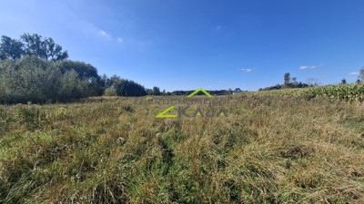Działka w Zatoniu - Zatonie  -
Lubuskie Zdjęcie nr 14