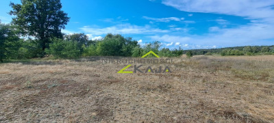 Działka w Zatoniu - Zatonie  -
Lubuskie Zdjęcie nr 4